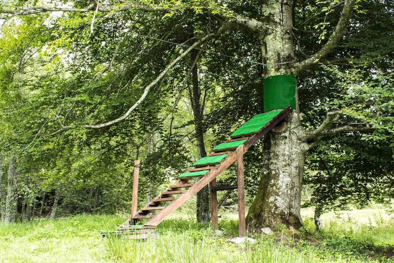 Vila Cabana Barlogul Lupilor Berevoesti Exteriér fotografie