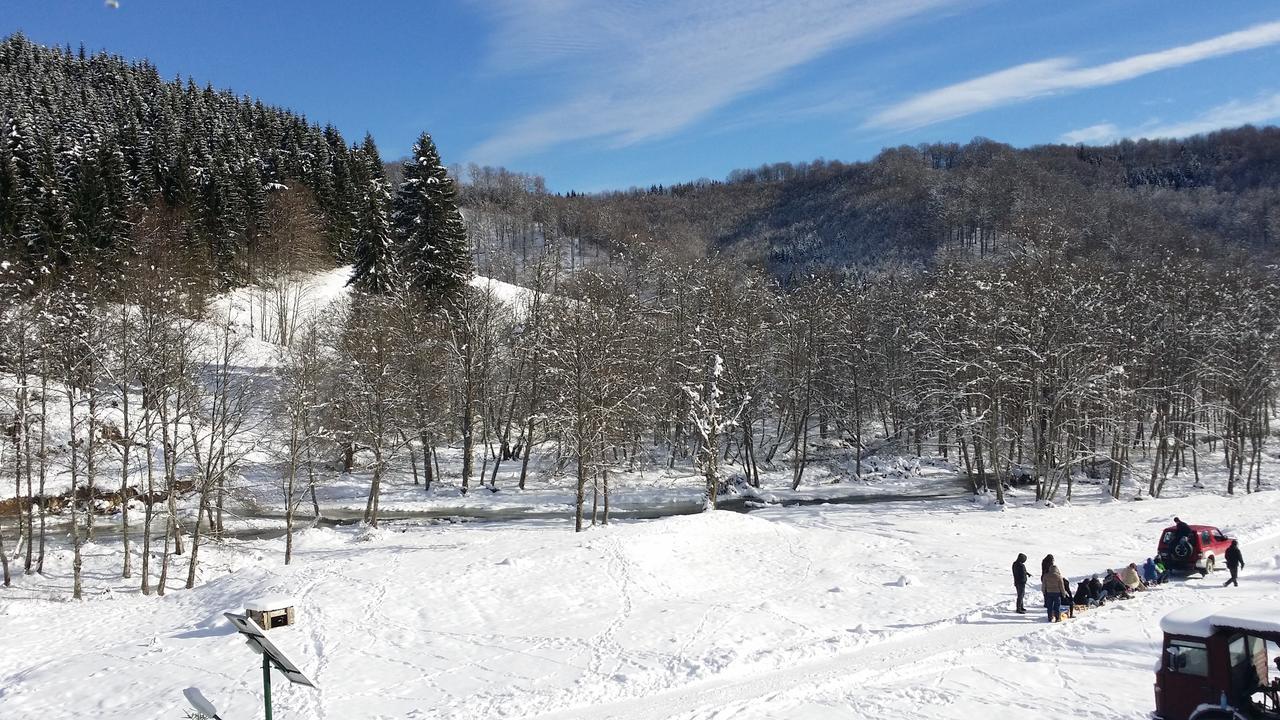 Vila Cabana Barlogul Lupilor Berevoesti Exteriér fotografie