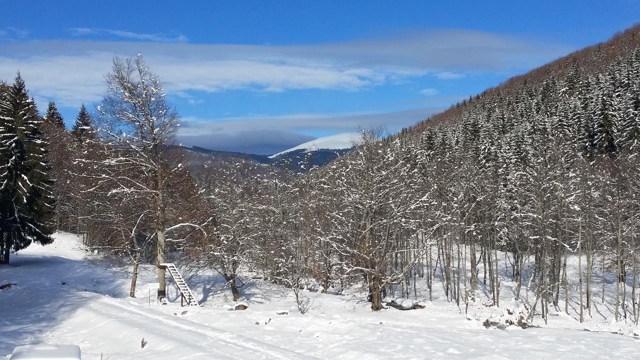 Vila Cabana Barlogul Lupilor Berevoesti Exteriér fotografie