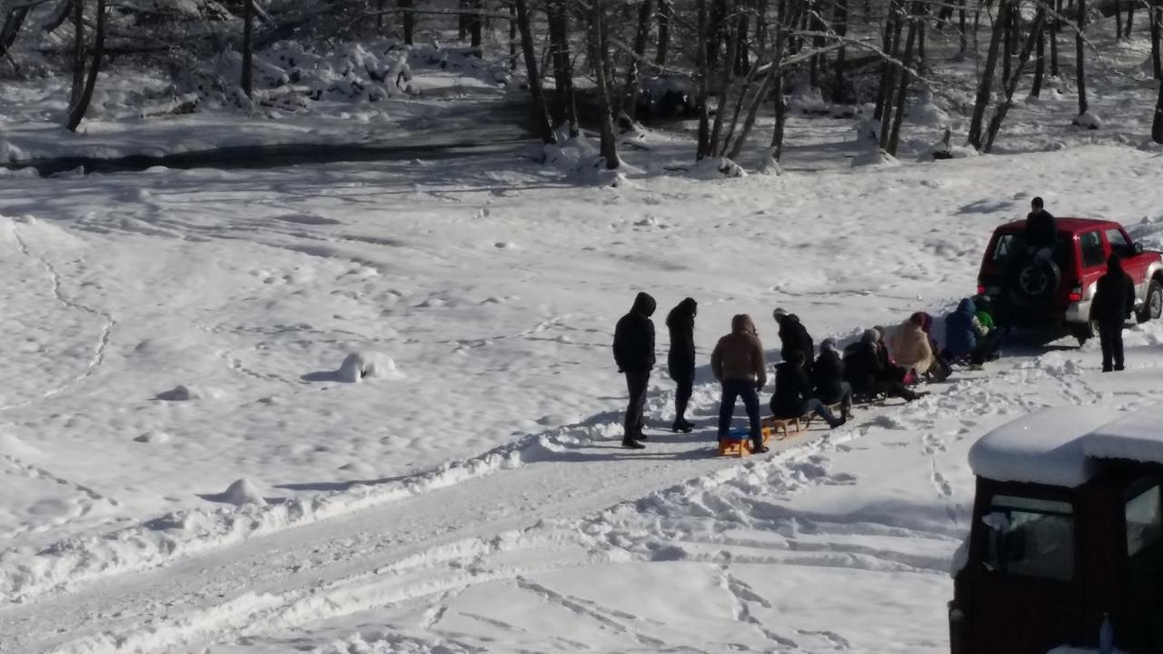 Vila Cabana Barlogul Lupilor Berevoesti Exteriér fotografie