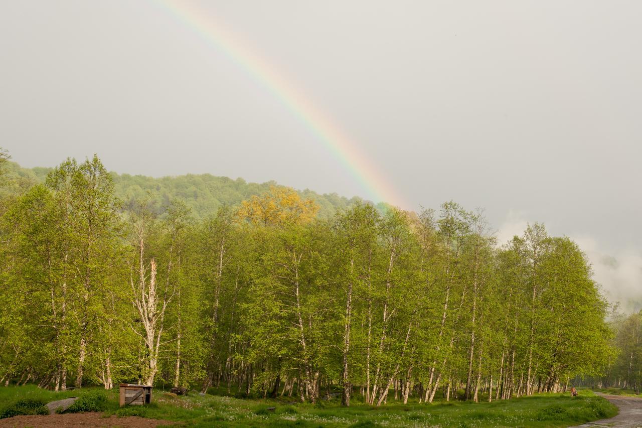 Vila Cabana Barlogul Lupilor Berevoesti Exteriér fotografie
